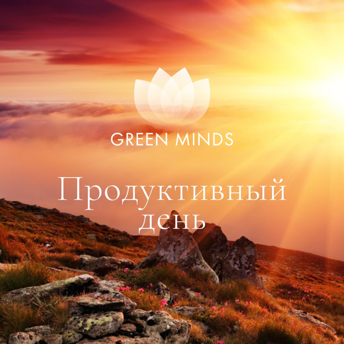 Нейромедитация GREEN MINDS «Продуктивный день» по цене 330 руб. - купить в  Химках ☛ Доставка ☆ Интернет-магазин «EcoGreenDom»